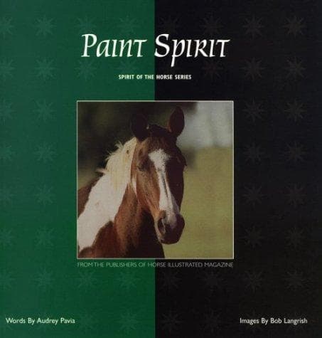 Tapa de Paint spirit