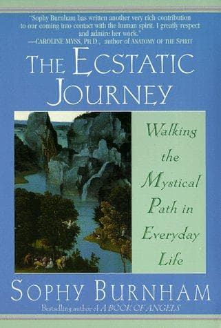 Tapa de The Ecstatic Journey