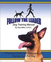 Tapa de Follow the leader
