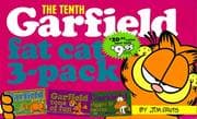 Tapa de The tenth Garfield fat cat