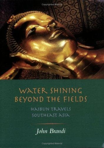 Tapa de Water Shining Beyond the Fields