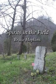 Tapa de Spirits in the Field