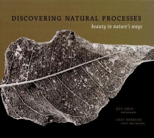 Tapa de Discovering Natural Processes