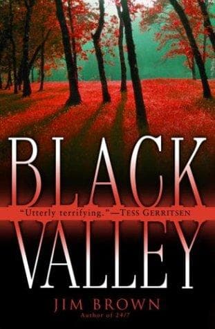 Tapa de Black Valley
