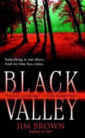 Tapa de Black Valley