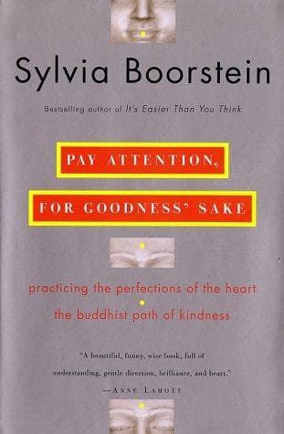 Tapa de Pay Attention, for Goodness' Sake