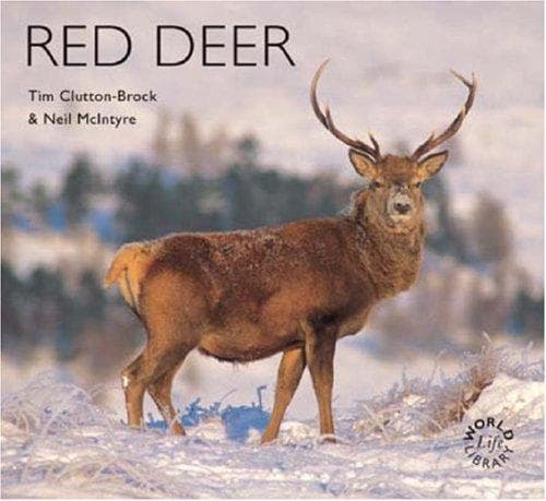 Tapa de Red deer