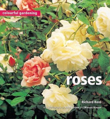 Tapa de Roses