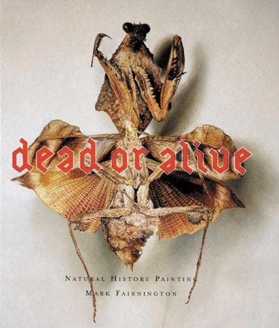 Tapa de Dead or Alive