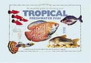 Tapa de An Essential Guide to Choosing Your Tropical Freshwater Fish (Tankmaster S.)