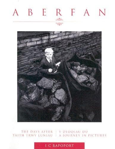 Tapa de Aberfan: The Days After