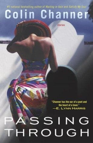 Tapa de Passing through