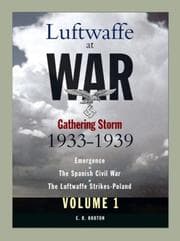 Tapa de Luftwaffe at War