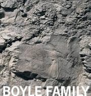Tapa de BOYLE FAMILY