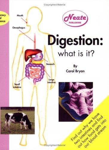 Tapa de Digestion