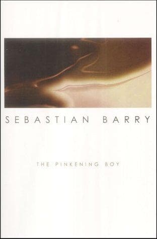 Tapa de The pinkening boy