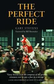 Tapa de The Perfect Ride