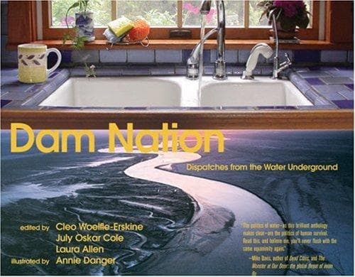 Tapa de Dam Nation