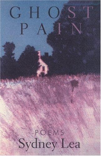 Tapa de Ghost Pain
