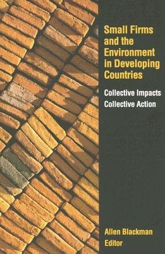 Tapa de Small Firms and the Environment in Developing Countries