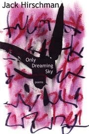 Tapa de Only Dreaming Sky