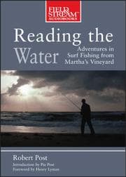 Tapa de Reading the water