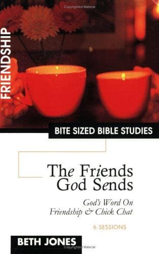 Tapa de The Friends God Sends