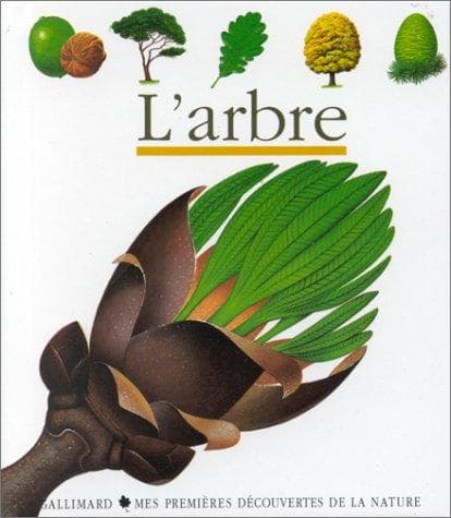 Tapa de Arbre