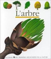 Tapa de Arbre
