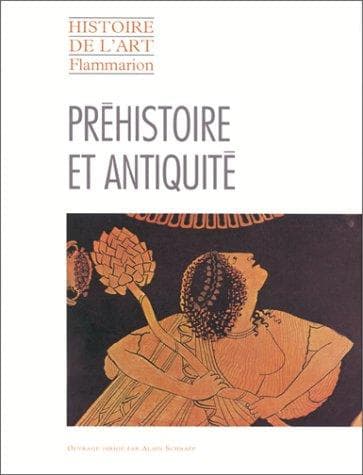 Tapa de Histoire de l'art Flammarion.