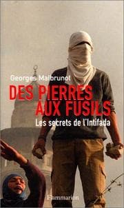 Tapa de Des pierres aux fusils