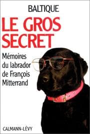 Tapa de Le gros secret