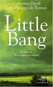Tapa de Little bang