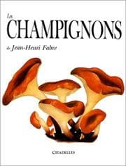 Tapa de Les champignons de Jean-Henri Fabre