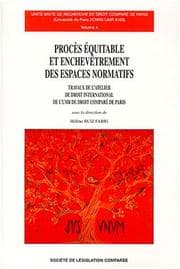 Tapa de Procès équitable et enchevêtrement des espaces normatifs