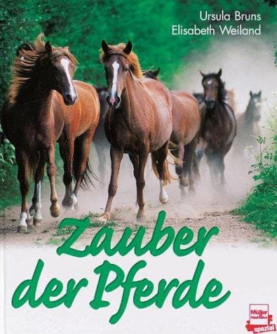 Tapa de Zauber der Pferde