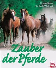 Tapa de Zauber der Pferde