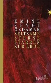 Tapa de Seltsame Sterne starren zur Erde