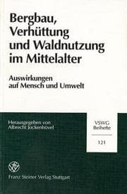 Tapa de Bergbau, Verhüttung und Waldnutzung im Mittelalter