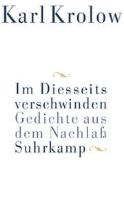 Tapa de Im Diesseits verschwinden