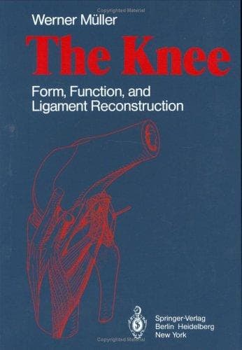 Tapa de The Knee