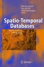 Tapa de Spatio-temporal databases