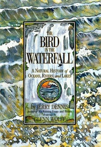 Tapa de The bird in the waterfall