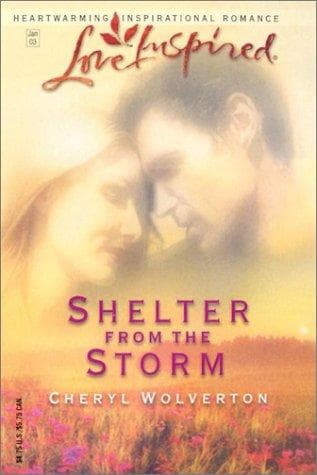 Tapa de Shelter From The Storm