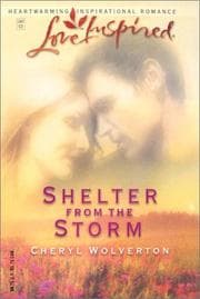 Tapa de Shelter From The Storm