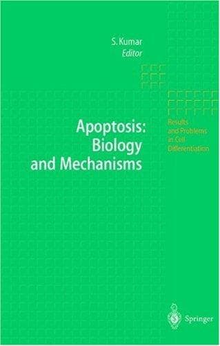 Tapa de Apoptosis