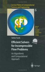 Tapa de Efficient Solvers for Incompressible Flow Problems