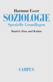 Tapa de Soziologie, Spezielle Grundlagen, 6 Bde., Bd.6, Sinn und Kultur