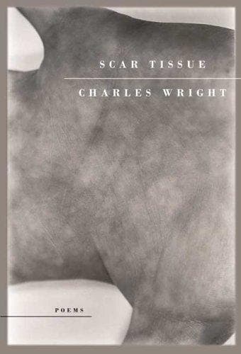 Tapa de Scar tissue