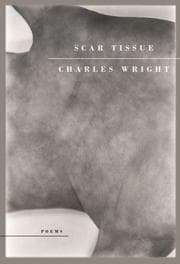 Tapa de Scar tissue